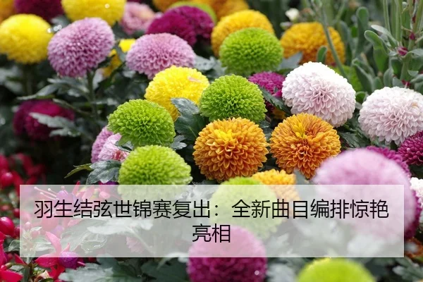 羽生结弦世锦赛复出：全新曲目编排惊艳亮相